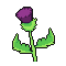 Green Pet Egg